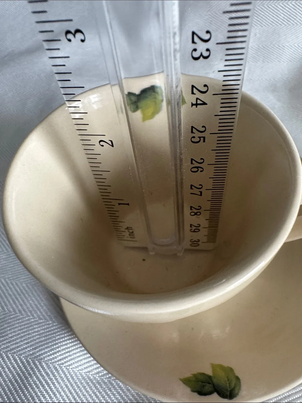 . Lily Creek Christmas Garden Teacup & Saucer Celebrate the Magic of Christmas